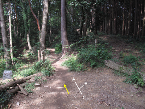 20161014hike (73)